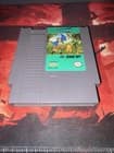 Adventure Island 2 II (Nintendo NES, 1991)