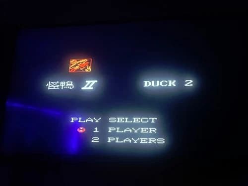 DARKWING DUCK 2 for Nintendo NES -- Fake Custom Game ??? -- Tested & Works