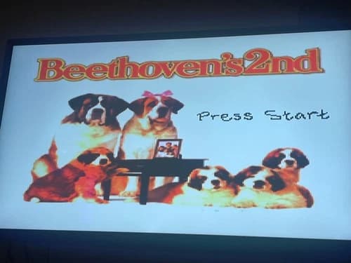 Beethoven: The Ultimate Canine Caper (Super Nintendo Entertainment System, 1993)