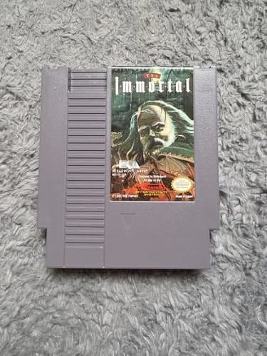 The Immortal (Nintendo Entertainment System NES, 1990) Tested!