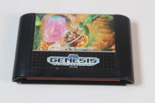 Dungeons & Dragons Warriors of the Eternal Sun Sega Genesis Video Game D&D RPG