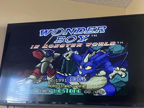 Wonder Boy in Monster World (Sega Genesis, 1990) — WONDER BOY for GENESIS