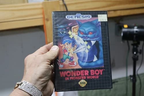 Wonder Boy In Monster World Sega Genesis - - Tested