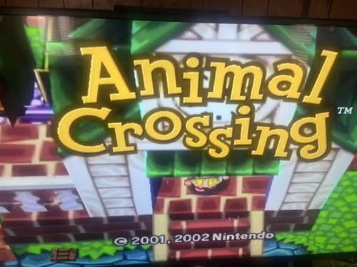 Animal Crossing GameCube Disc Only Tested Working
