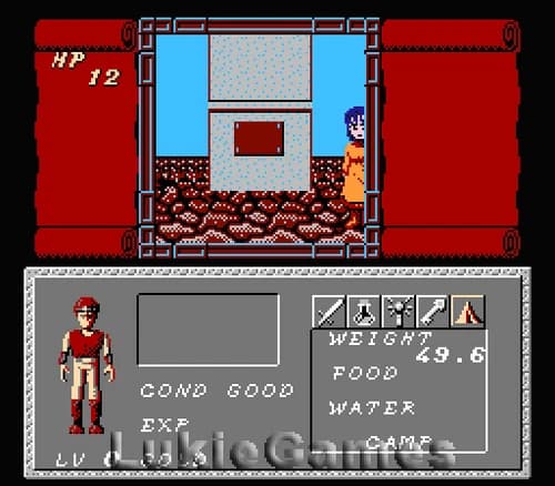 Dungeon Magic - Classic NES Nintendo Game