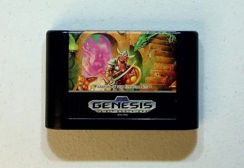 Dungeons & Dragons Warriors of the Eternal Sun Sega Genesis Video Game D&D RPG