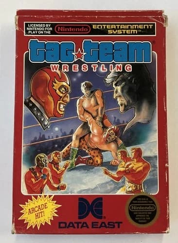 Tag Team Wrestling Nintendo Entertainment System NES Complete Tested