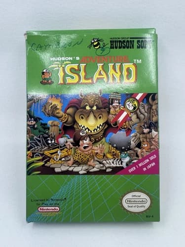 Adventure Island (NES) [CIB] Tested Working!