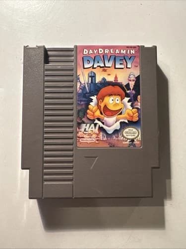 Day Dreamin' Davey (Nintendo Entertainment System NES, 1992) Authentic & Tested