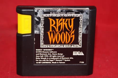 Risky Woods (Sega Genesis, 1992) Authentic Game Cartridge
