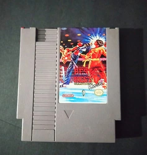 Best of the Best Championship Karate for Nintendo 1992