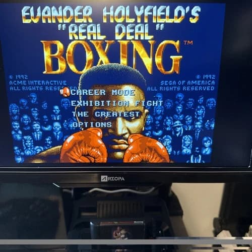 Evander Holyfield's "Real Deal" Boxing (Sega Genesis, 1992)