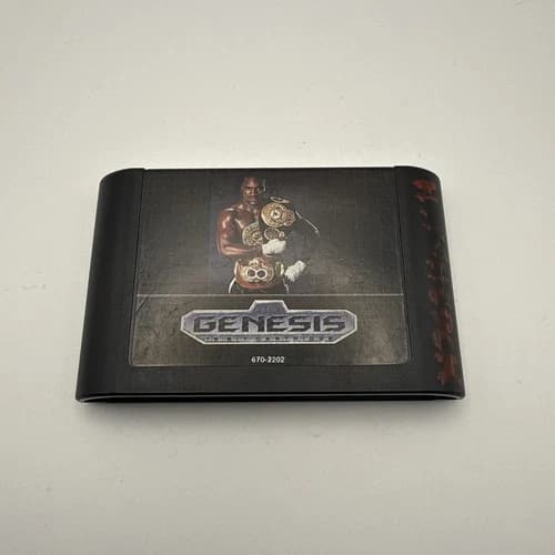 Evander Holyfield's Real Deal Boxing Sega Genesis Cartridge Only Cleaned Tested!