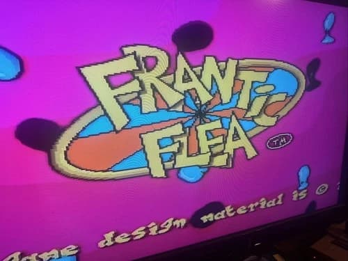 Frantic Flea (Super Nintendo Entertainment System, 1995) SNES Tested Authentic
