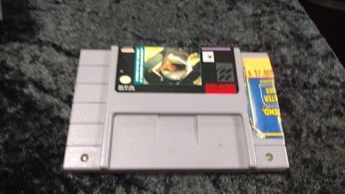 Where in the World is Carmen Sandiego (Super Nintendo SNES) Authentic Cartridge