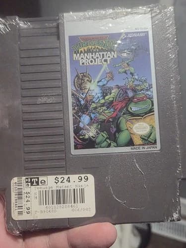 Teenage Mutant Ninja Turtles III: The Manhattan Project (Nintendo Entertainment