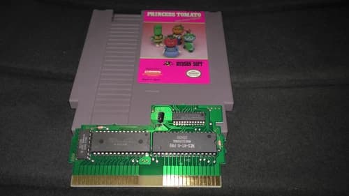 Princess Tomato in the Salad Kingdom Nintendo Entertainment System 1991 NES