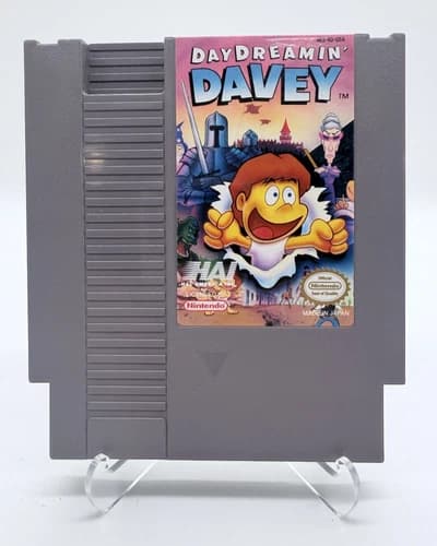 Day Dreamin' Davey (Nintendo Entertainment System NES, 1992) BACK DISCOLORED