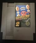 Nintendo Clu Clu Land Nintendo Entertainment System NES Action 1984 Multiplayer