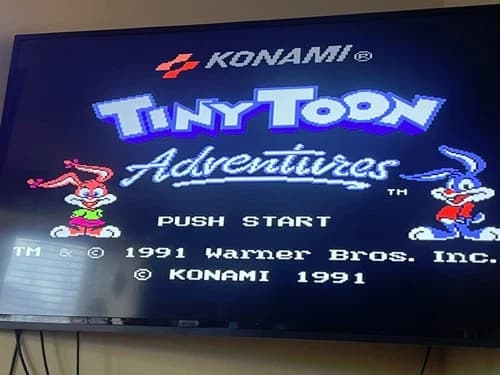 Tiny Toon Adventures ( Nintendo Entertainment System 1991) TINY TOON ADVENTURES