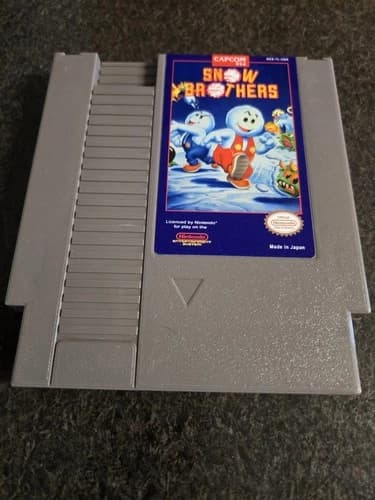 Snow Brothers Nintendo NES Game Read