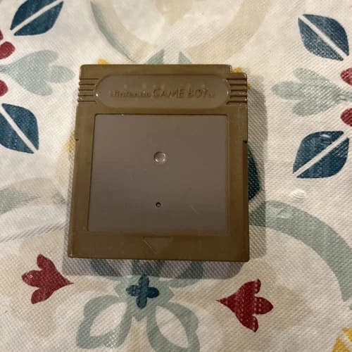 Mystery Game Boy Game