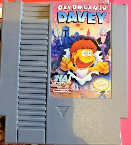 Davey Day Dreamin Nintendo Game