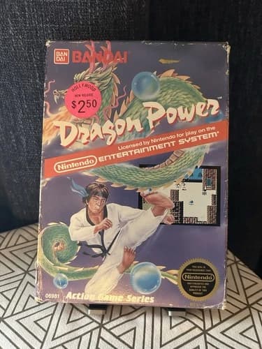 Dragon Power Nintendo Entertainment System NES Complete