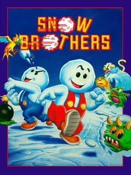 Snow Brothers cover art