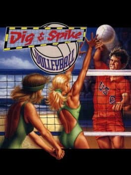 Dig & Spike Volleyball cover art
