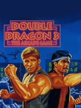 Double Dragon 3: The Arcade Game cover art